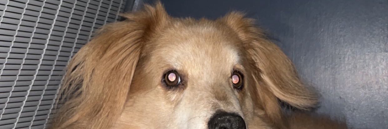 GaylenMorris's profile banner image
