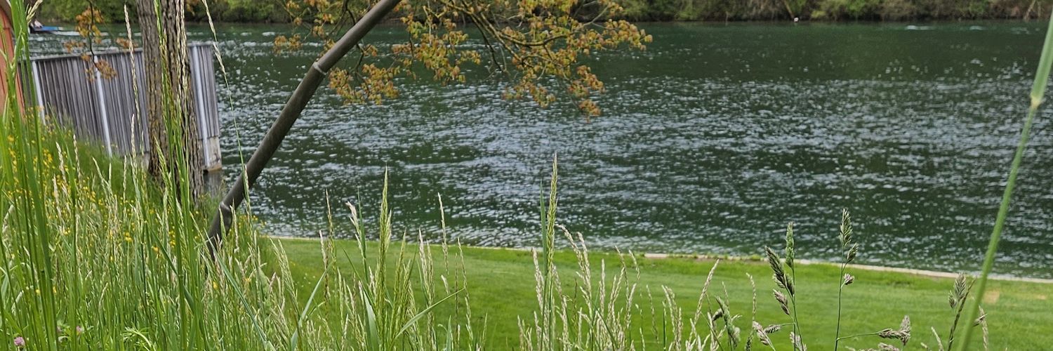 Rob_Araned's profile banner image