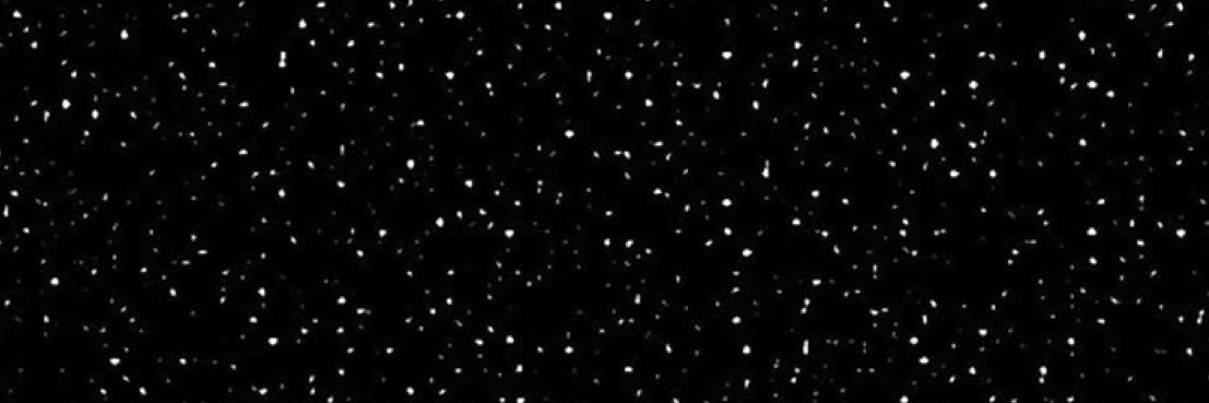 mlauracampos20's profile banner image