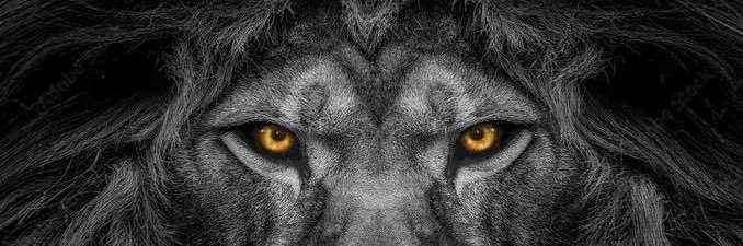 kuzeytas's profile banner image