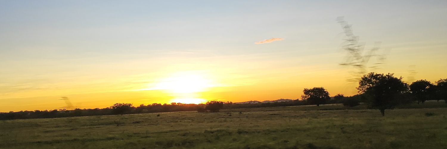 t1tz_'s profile banner image