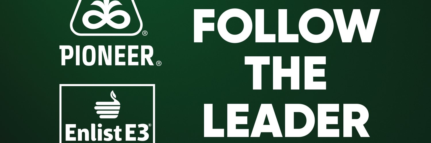 kay_timpe's profile banner image