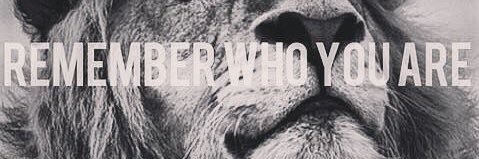 henoooo333's profile banner image