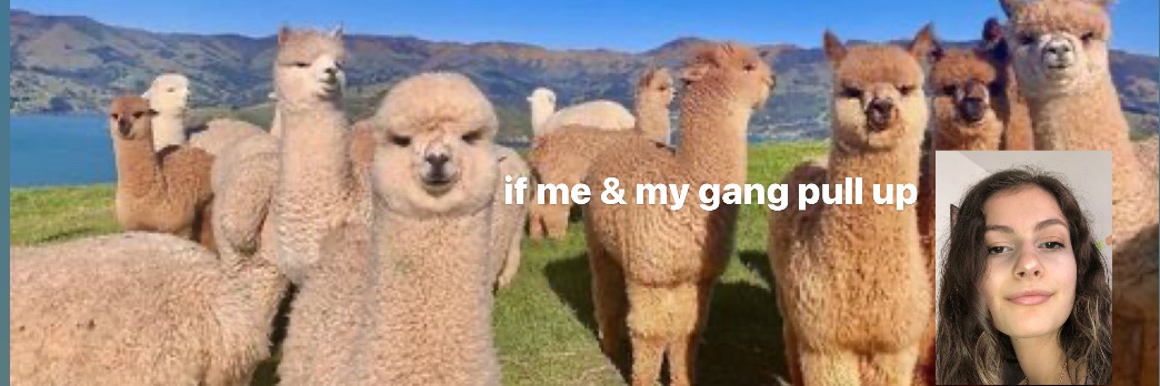 soupqueen4's profile banner image