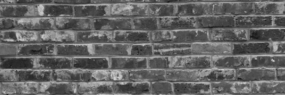 Integrity Skates banner