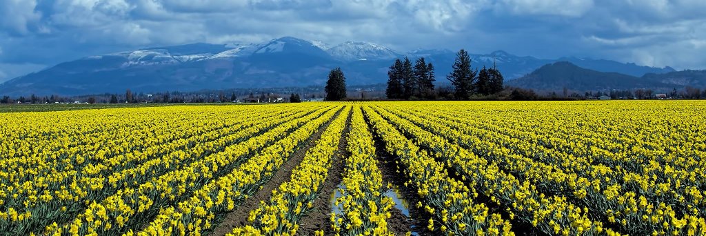 💙💚Shannon💚💙 banner