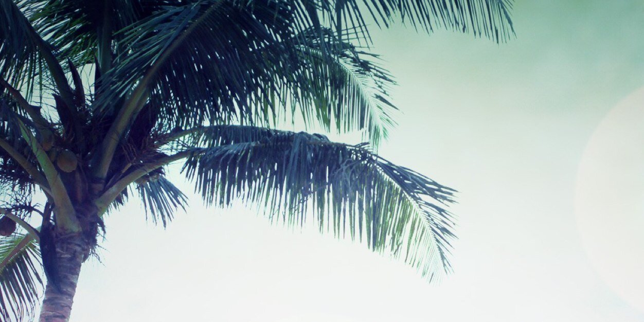 Sharelx's profile banner image