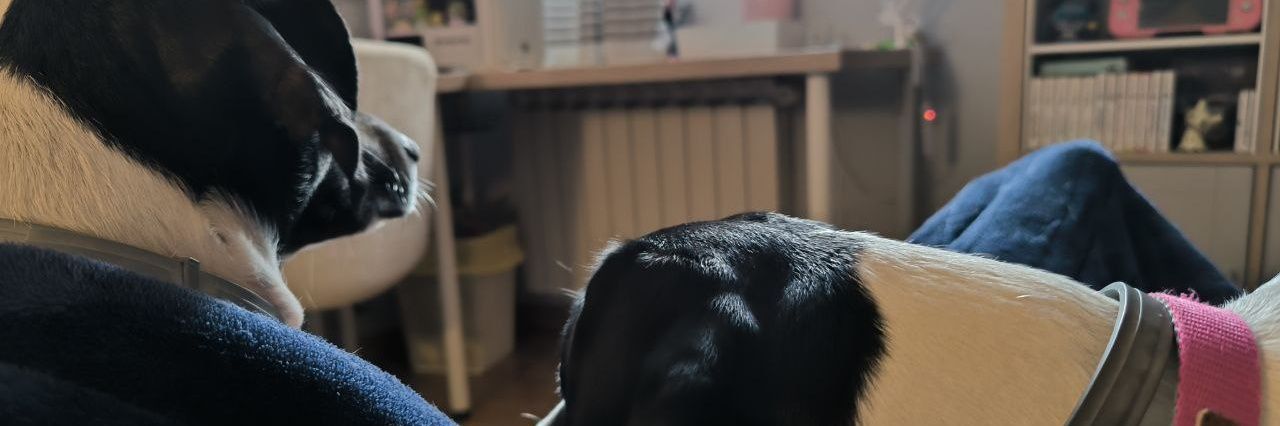 APachonJ's profile banner image