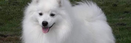 DaisyNjiri's profile banner image