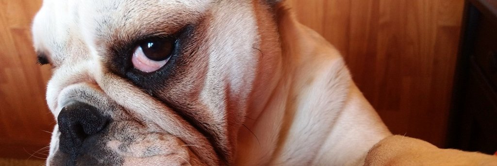 boov__oh's profile banner image