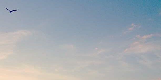 LUCIANOMOURA's profile banner image
