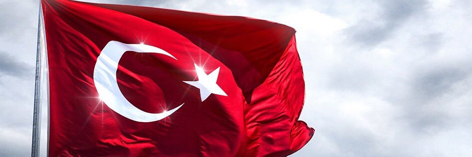 nervurali's profile banner image