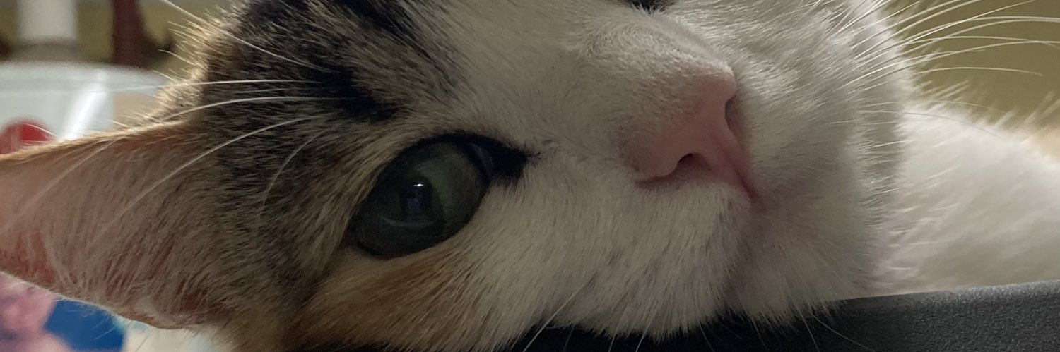 lemmiabril's profile banner image