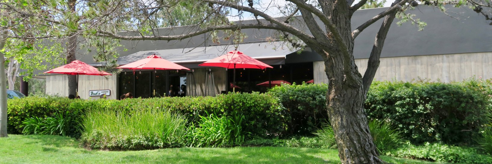 Buds Lousiana Cafe banner