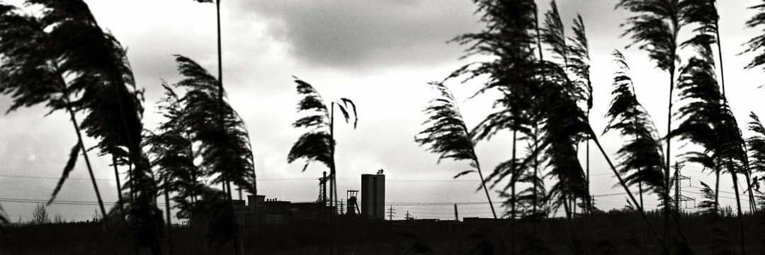 standa_cerny's profile banner image