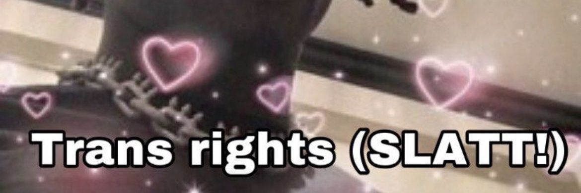 Cindercest's profile banner image