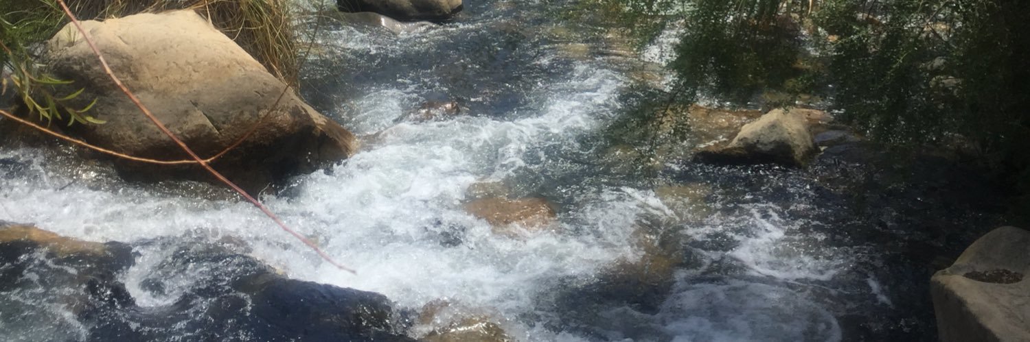 Ximena Chong Campusano banner