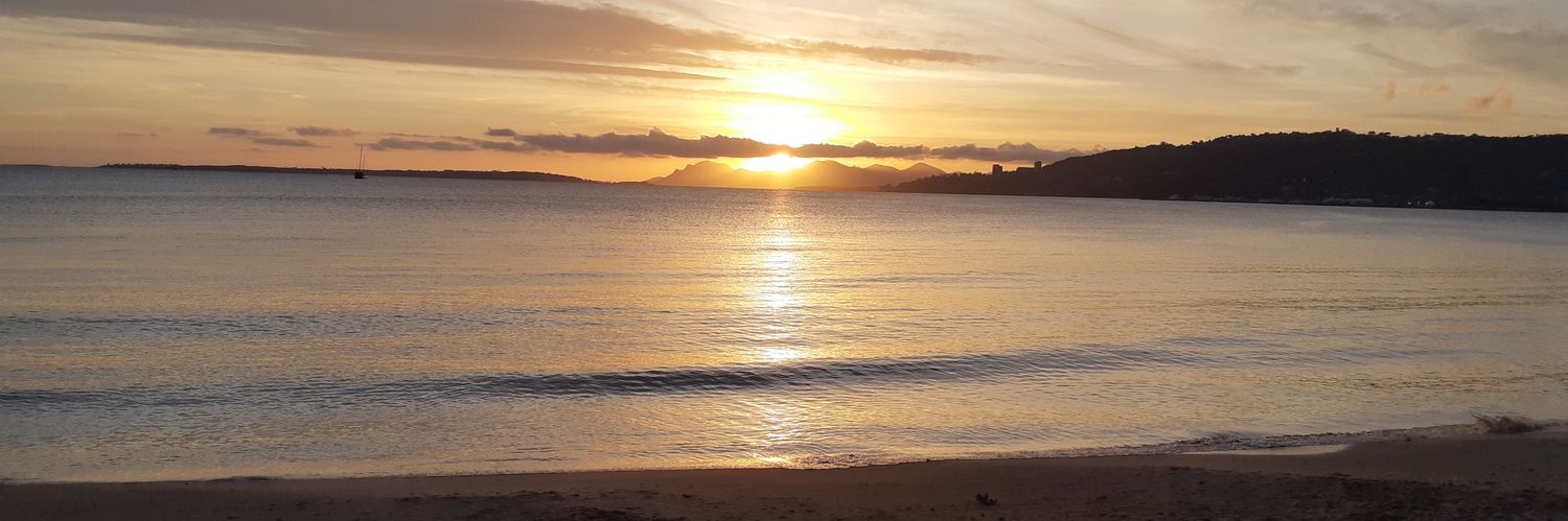 Mathilde Gracia banner