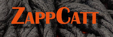 ZappCatt's profile banner image