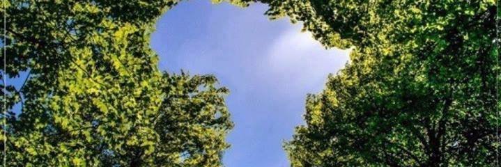 Lil_29th's profile banner image