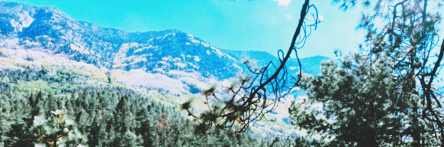 Shaiiilaaa's profile banner image