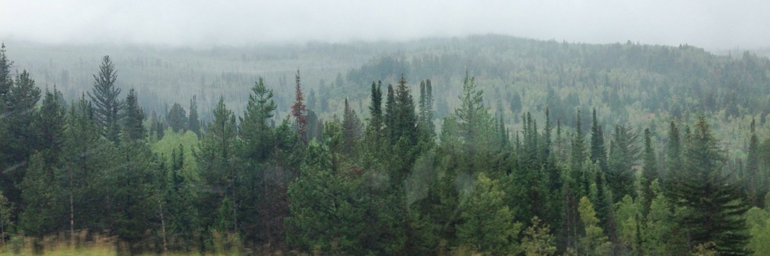 ChelseeDurfey's profile banner image