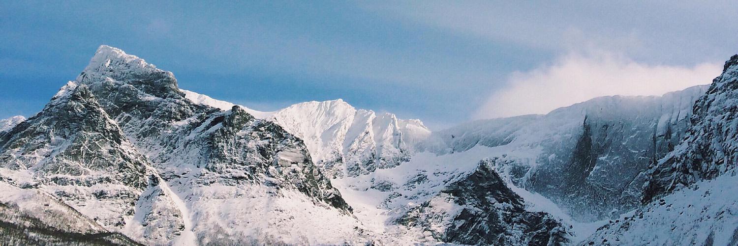 fridaiverrsen's profile banner image