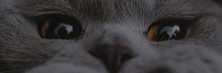 Stabillife's profile banner image