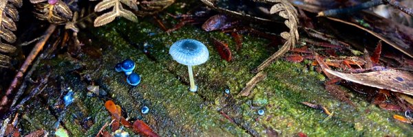 CristobalOnetto Profile Banner