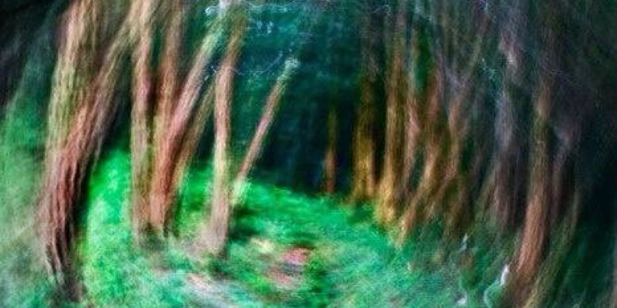 carobretti's profile banner image