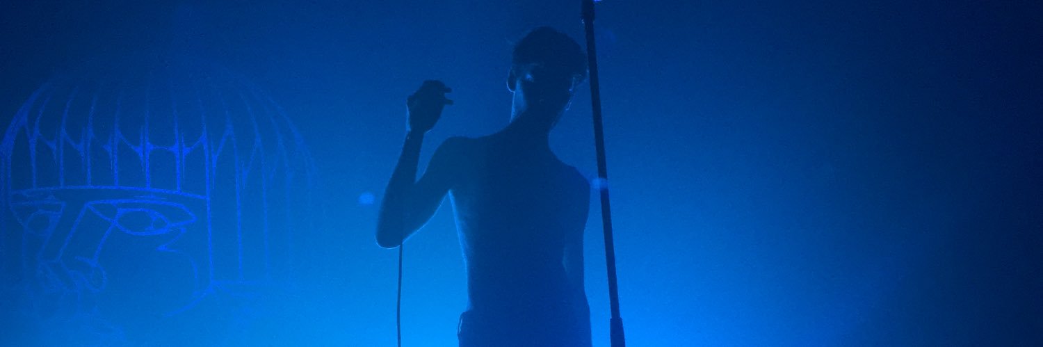 SainteCorapute's profile banner image