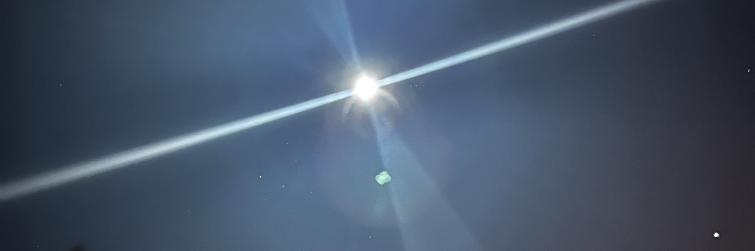 gotbimbobrain's profile banner image
