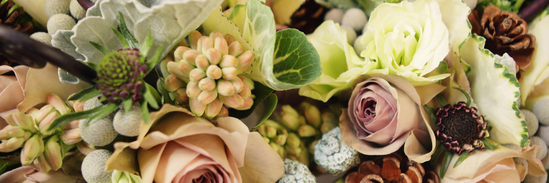 Sunnyflorists's profile banner image