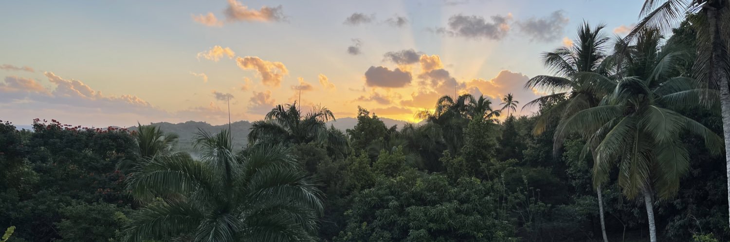 Andy_Minaya's profile banner image
