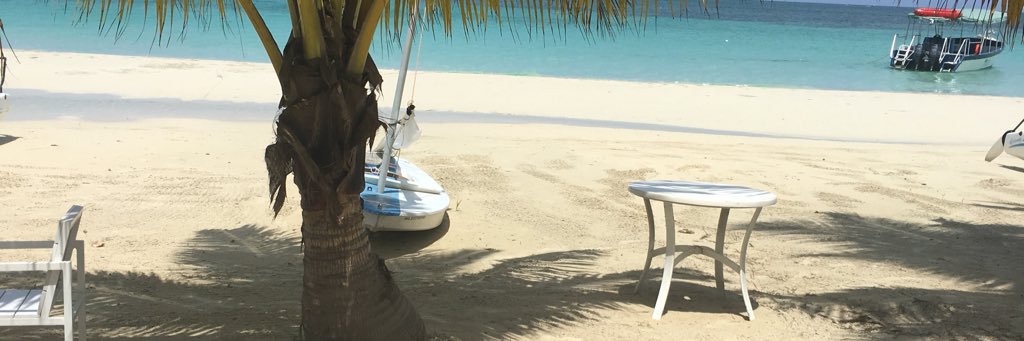 Peter A. Banhan banner