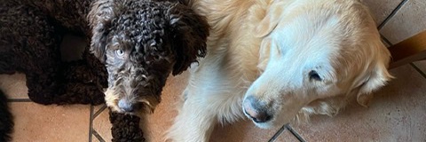 Claudia__2411's profile banner image