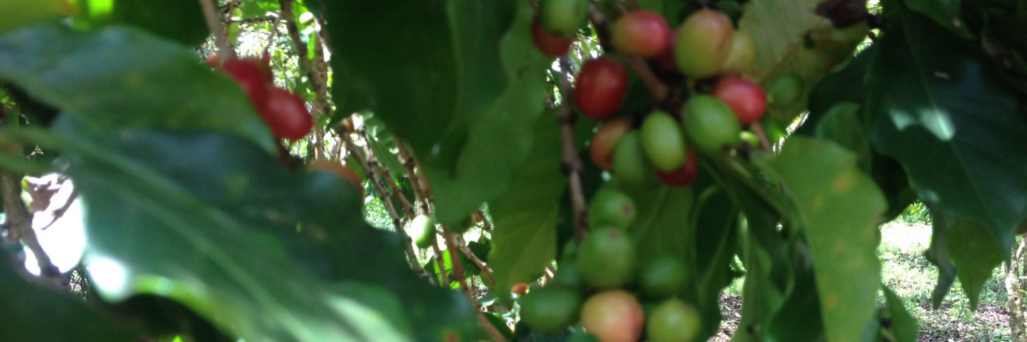 iWuseldusel's profile banner image