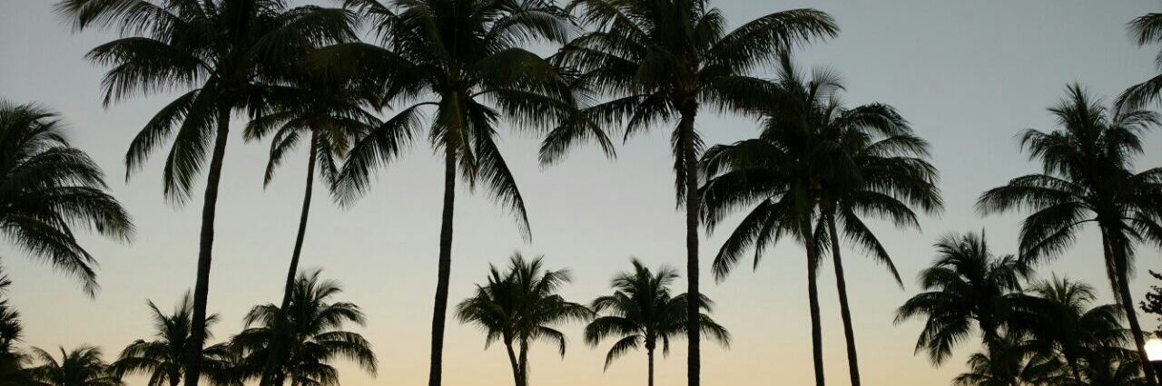 luluchaffin's profile banner image