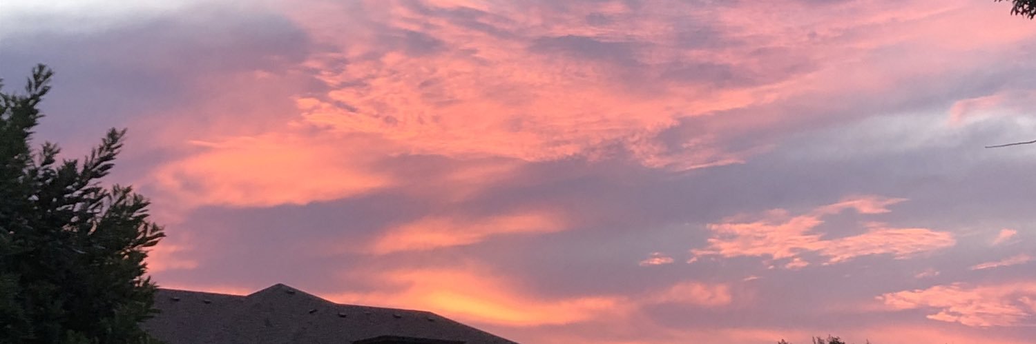 lextheelibra's profile banner image