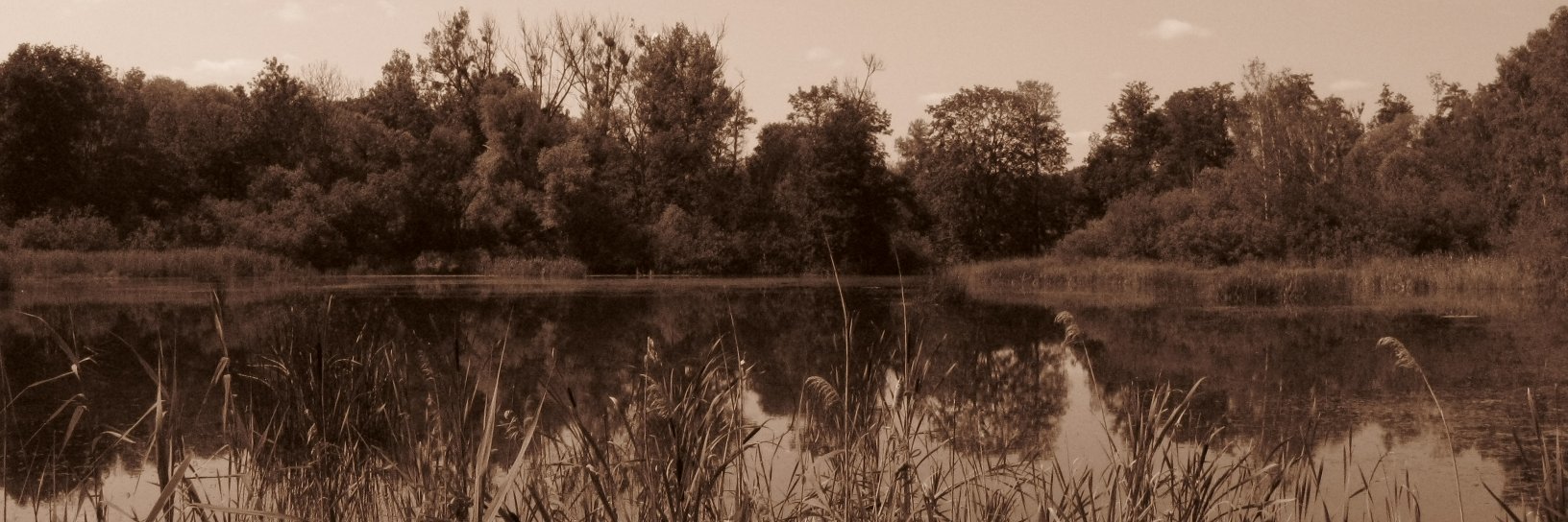 le_zeck's profile banner image