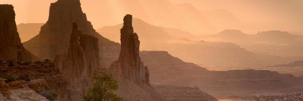 seabasbertoli Profile Banner