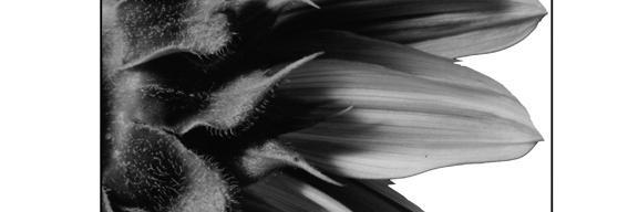 EvaEchenberg's profile banner image