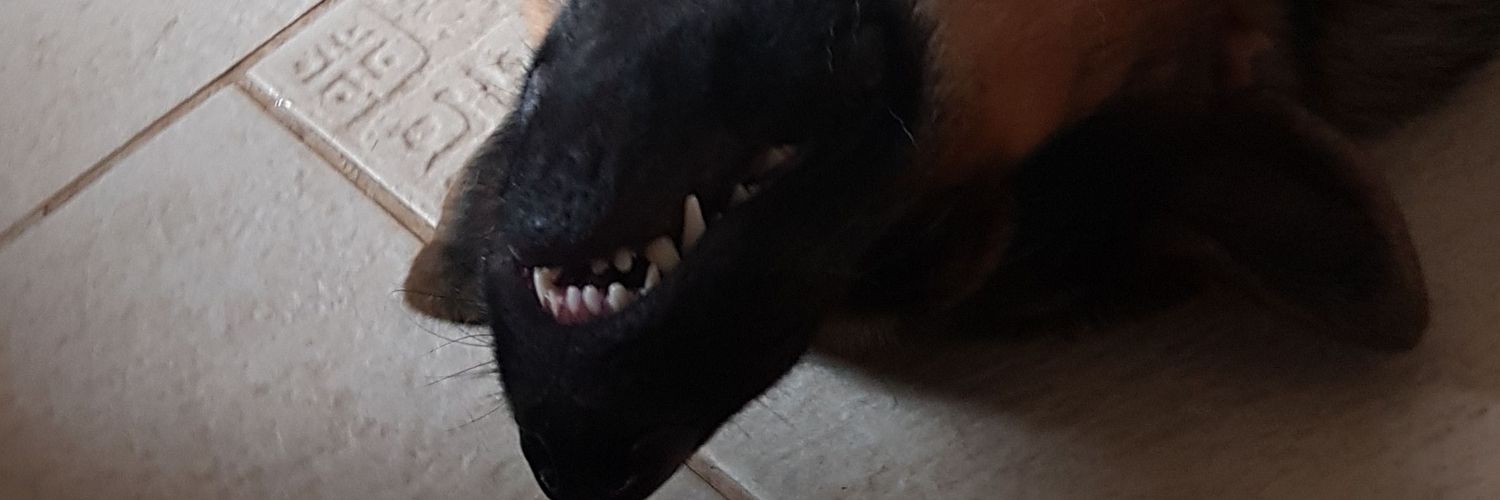 Doartzin's profile banner image