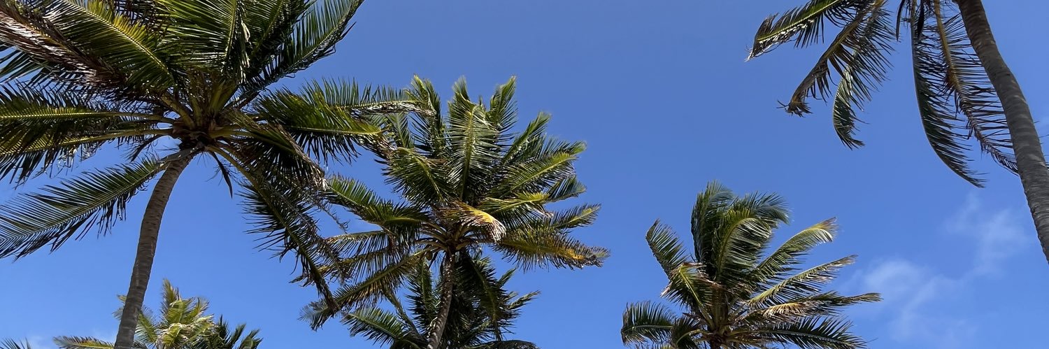 andreakch_'s profile banner image