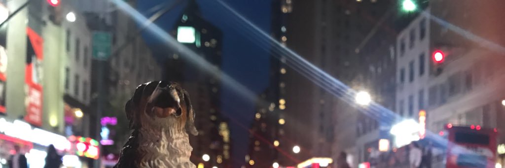 Maitoumana's profile banner image