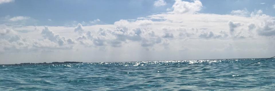 MariaJoseYi's profile banner image