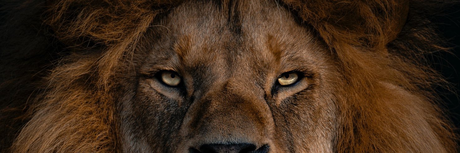 ✞'s banner