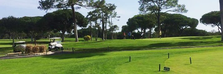 Sean Hasson banner