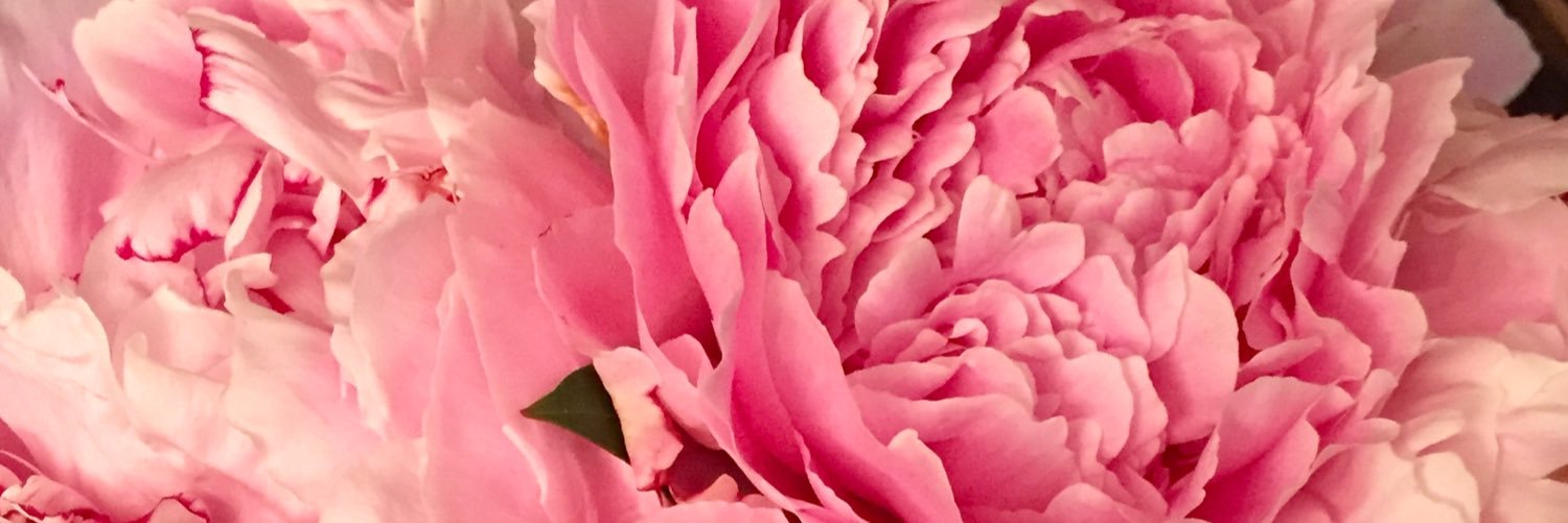 jessiemwk's profile banner image