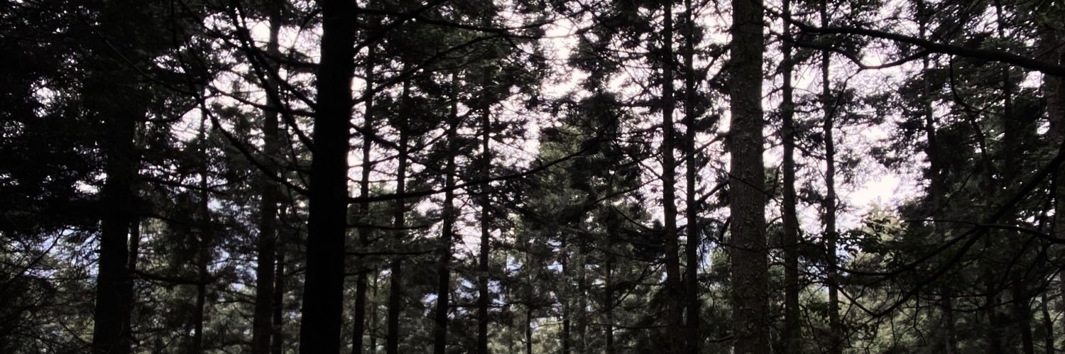 casellaasm's profile banner image